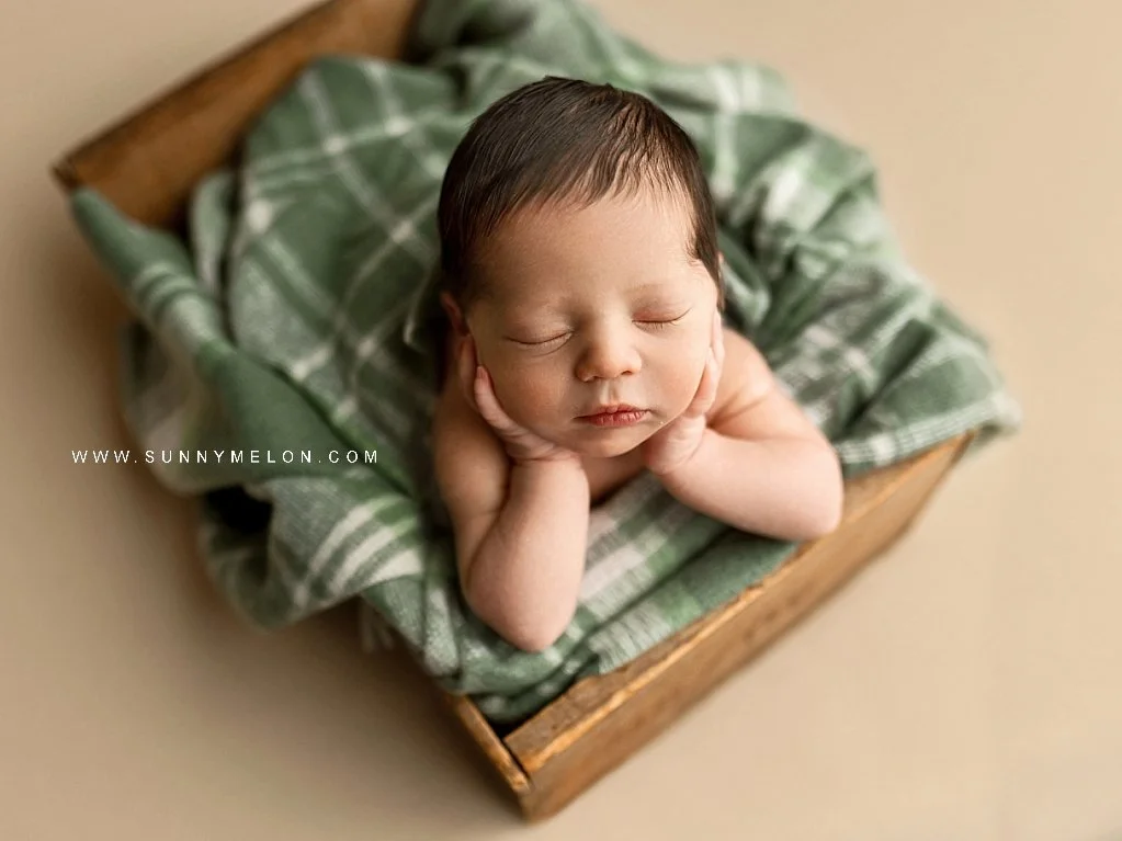 Newberg Oregon Newborn Photographer: A Fine-Art Studio Experience in the Heart of the Valley